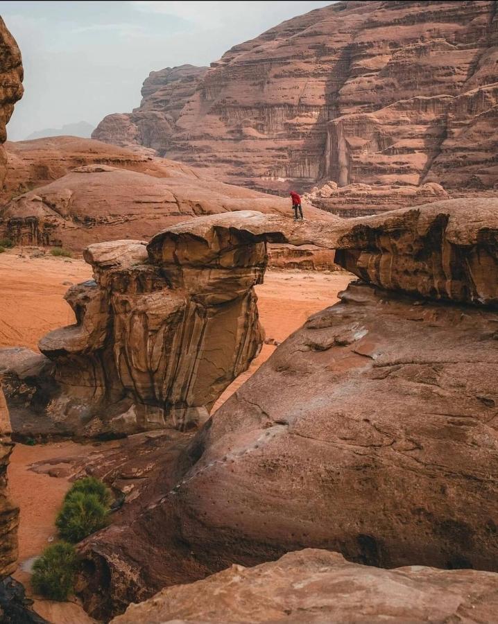 Rehana Rum Camp Wadi Rum Exterior foto